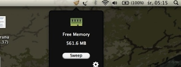 Memory Sweeper Pro App Store